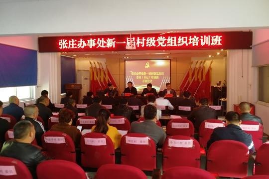 张庄办事处组织开展新一届村级党组织委员（书记）培训班